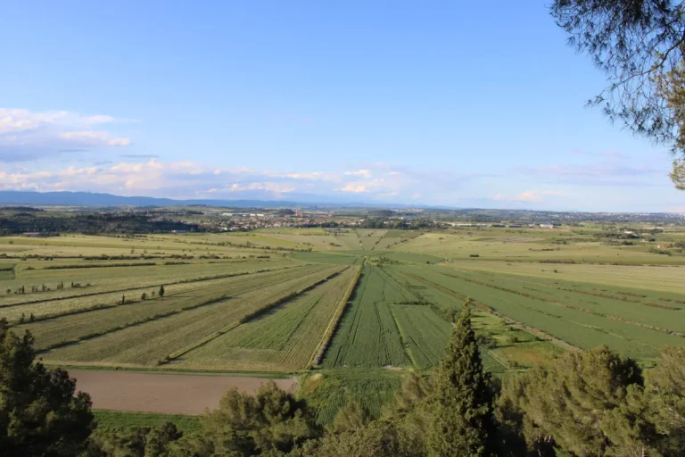 Photo de l'étang de Montady vu de 'oppidum d'Enserune