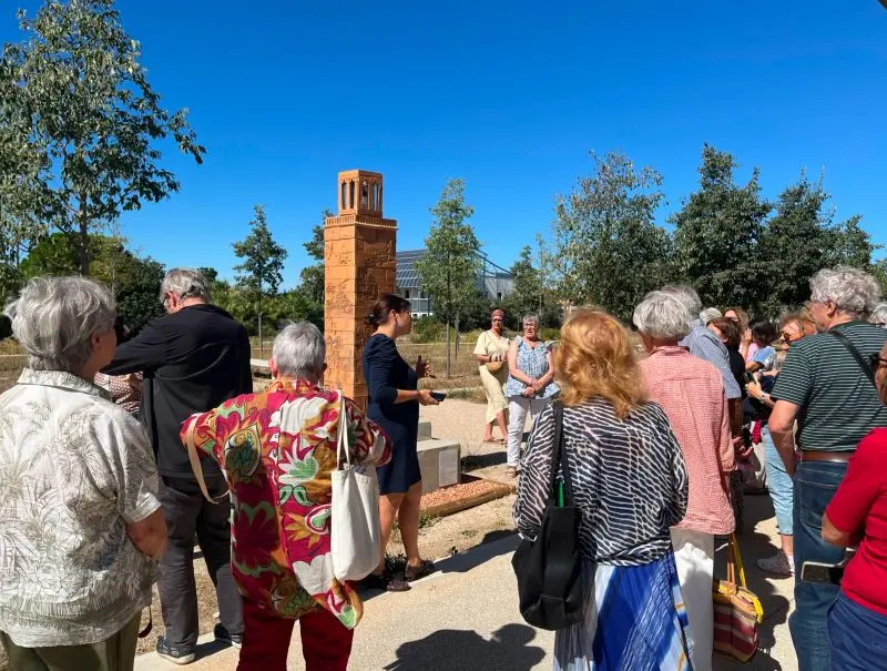 Visite guidée du musée Narbo Via
